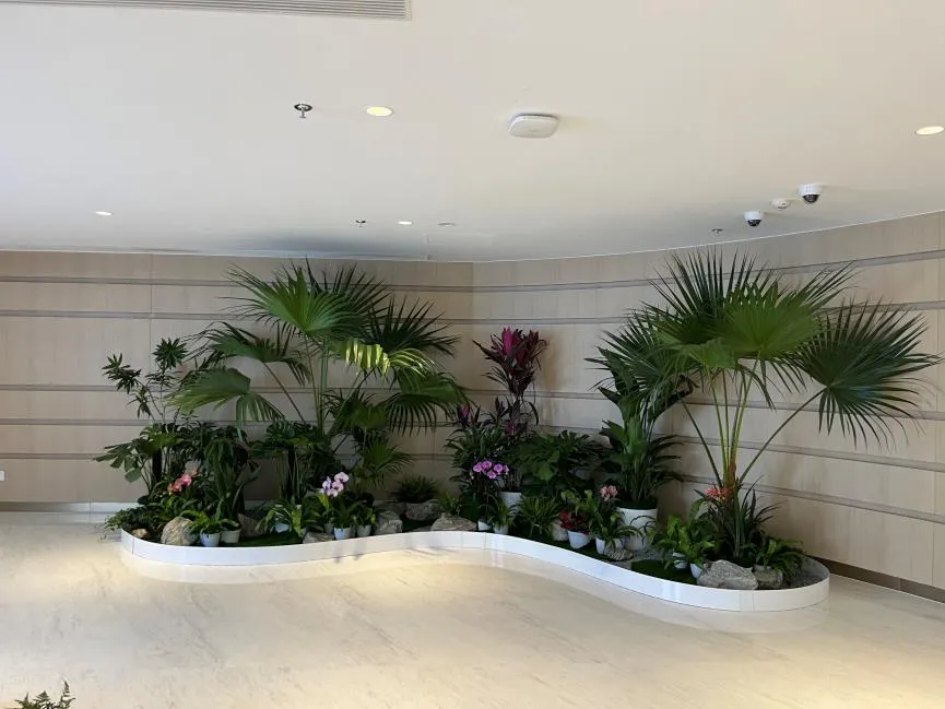 宁波鄞州盆景租摆哪家好